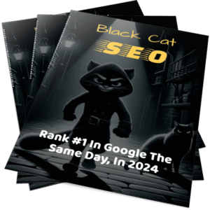 Black Cat SEO - Guia Completo de SEO